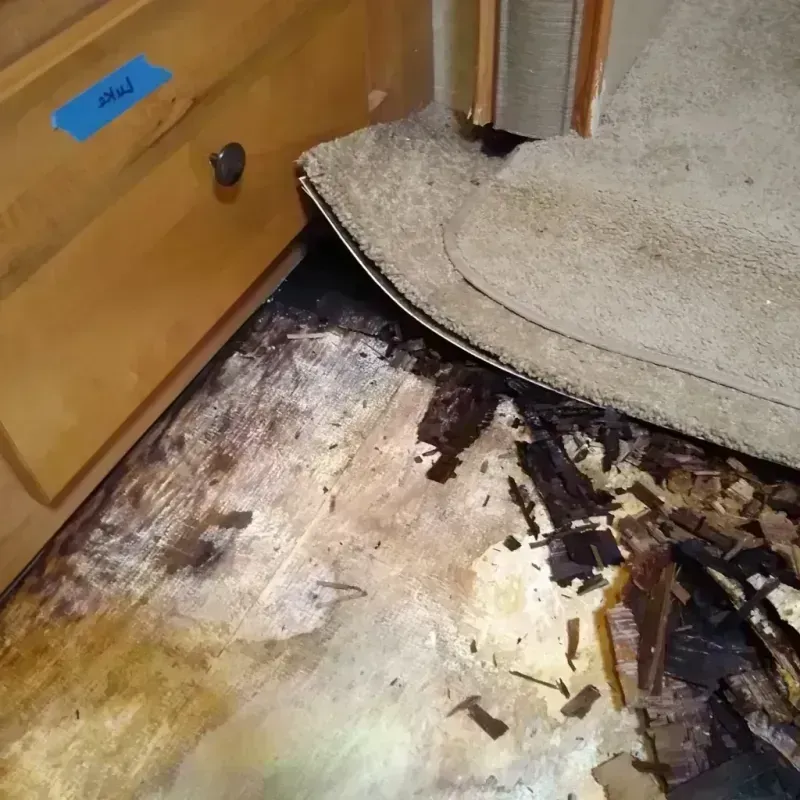 Wood Floor Water Damage in Valle Vista, AZ